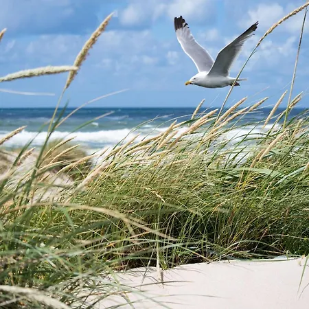 By Duinbergen דירה קנוקה-הייסט