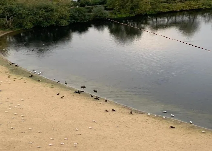 By Duinbergen קנוקה-הייסט