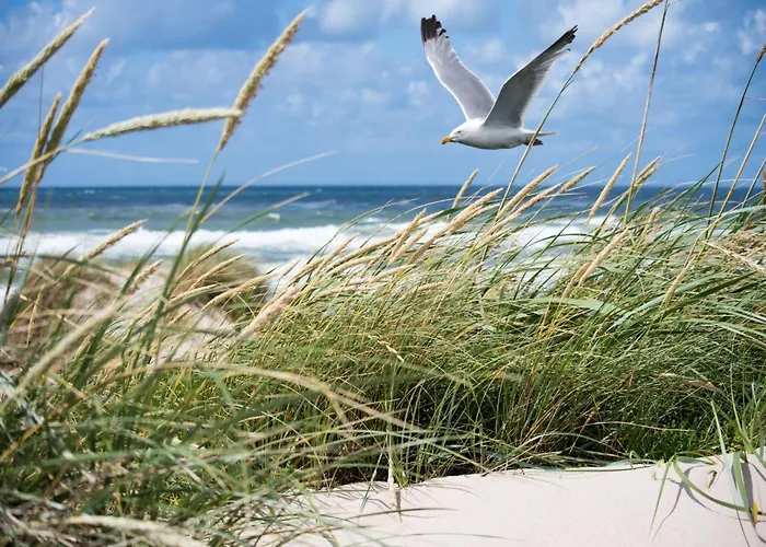 By Duinbergen דירה קנוקה-הייסט